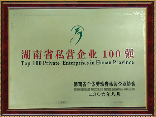 2006湖南省私营企业100强